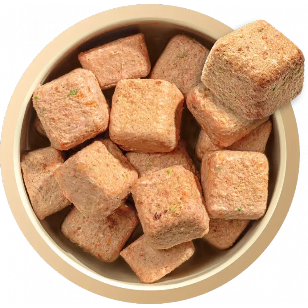 Beige bowl with square-shaped Natures Menu delicious meaty nuggets for adult dogs