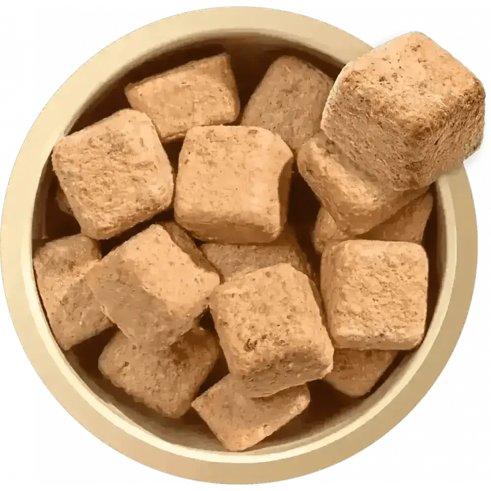 Beige bowl with square-shaped Natures Menu delicious meaty nuggets for adult dogs