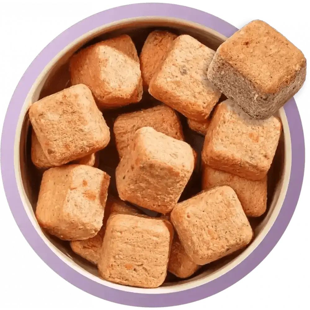 Lavender bowl with square crackers as part of Natures Menu 80/20 Turkey dog food for adults