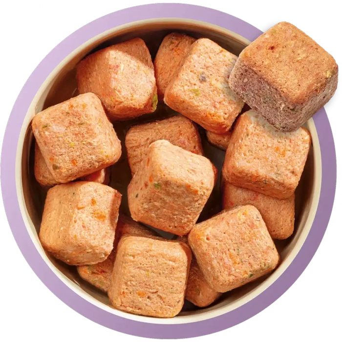 Natures Menu 80/20 Turkey with Superfoods | Natural raw food for dogs