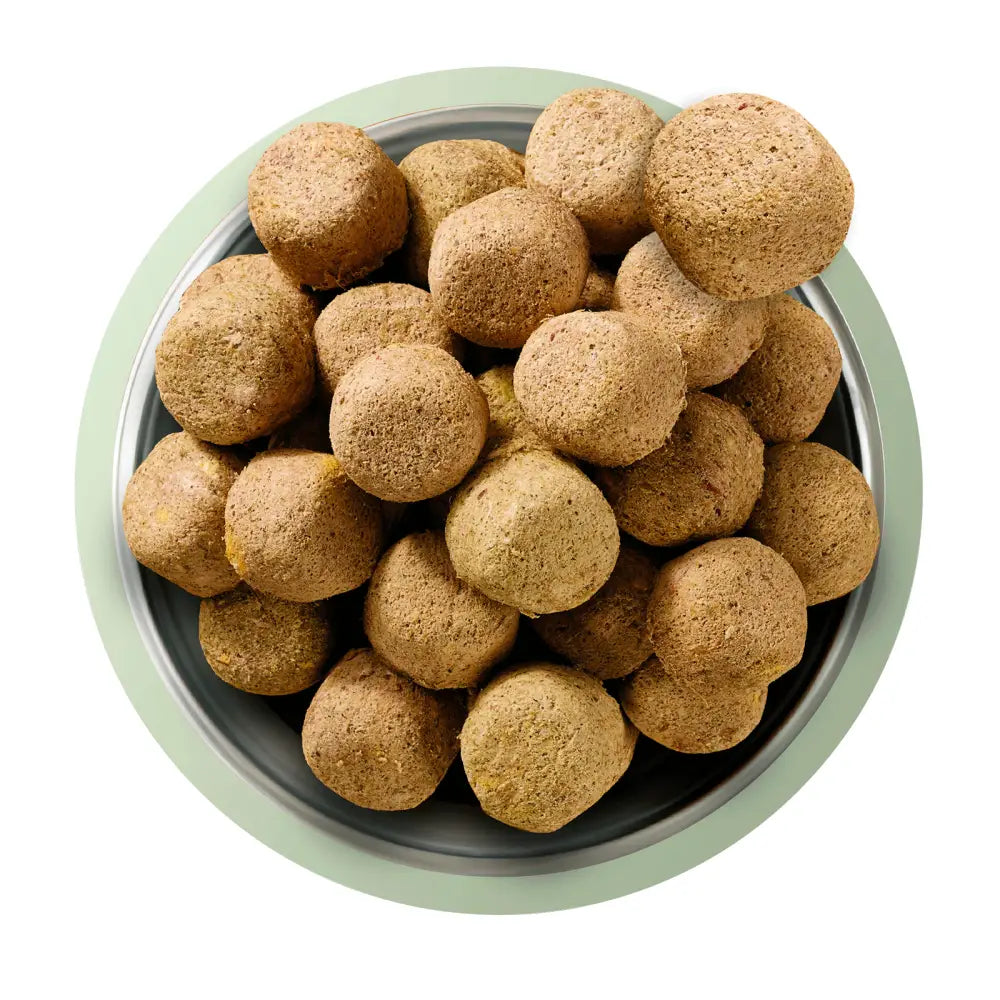 Natures Menu freeze dried 80/20 lamb dog food in brown bowl