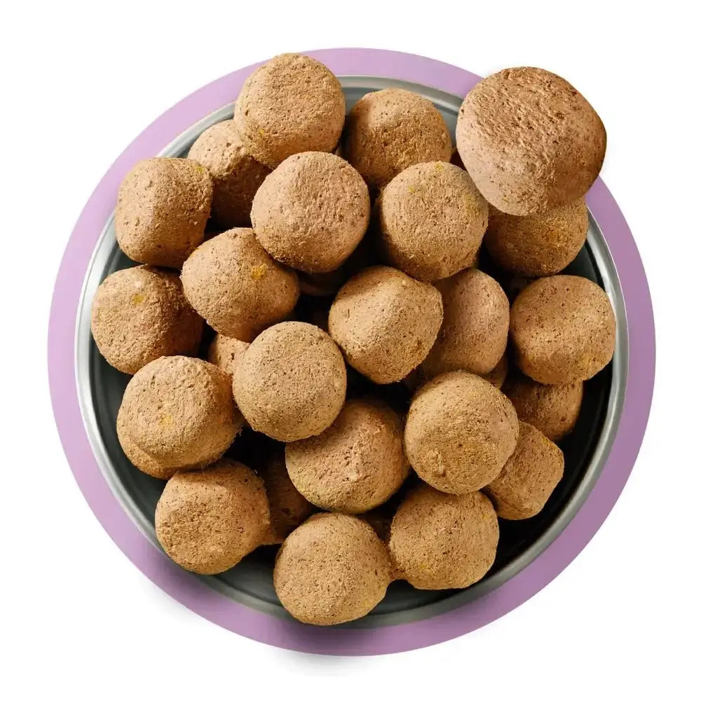 Natures Menu freeze dried turkey dog food in a bowl on a white background