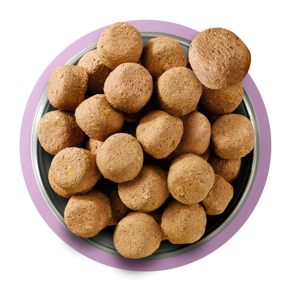 Natures Menu freeze dried turkey dog food in a bowl on a white background