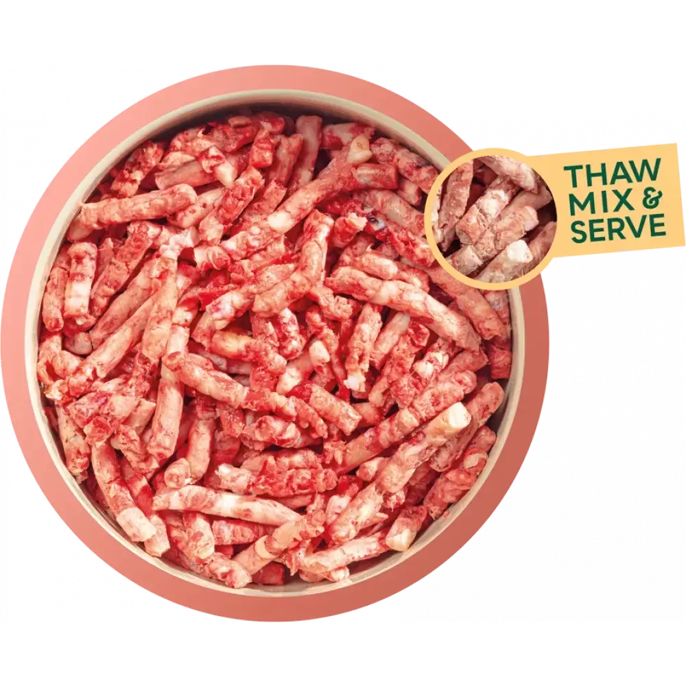 Ground beef sticks in a pink bowl from Natures Menu Freeflow Beef in high quality mince beef format