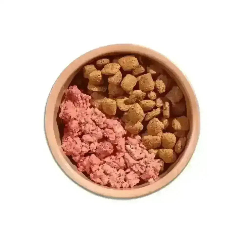 Terracotta bowl with mixed dog food featuring kibble, part of Natures Menu’s Mighty Mixer Turkey