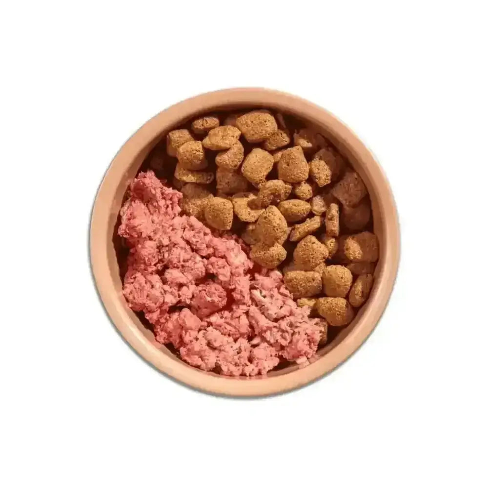 Terracotta bowl with mixed dog food featuring kibble, part of Natures Menu’s Mighty Mixer Turkey