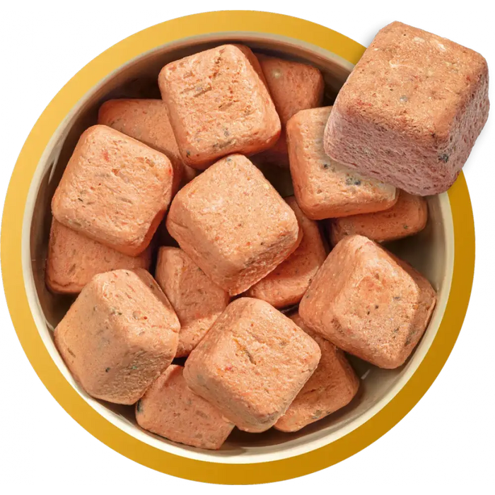 Natures Menu Complete & Balanced Puppy Chicken with Salmon and Brown Rice Complete Food | Natural raw food for puppies
