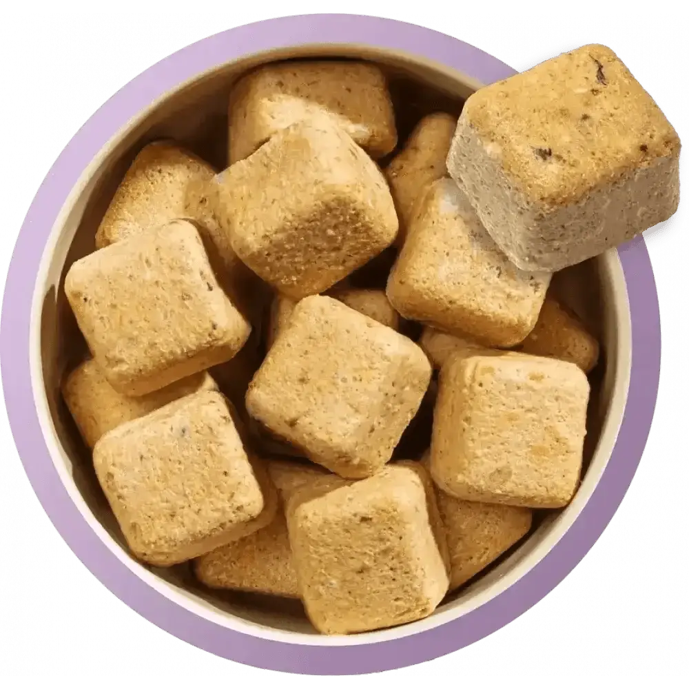 Natures Menu Puppy Turkey and Fish treats in lavender bowl for healthy growth