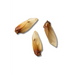 NAW Buffalo Ears | Natural dog chews
