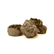Norah’s Botanical Topped Cookies - Small Animal Accessories | Natural Pet Shop