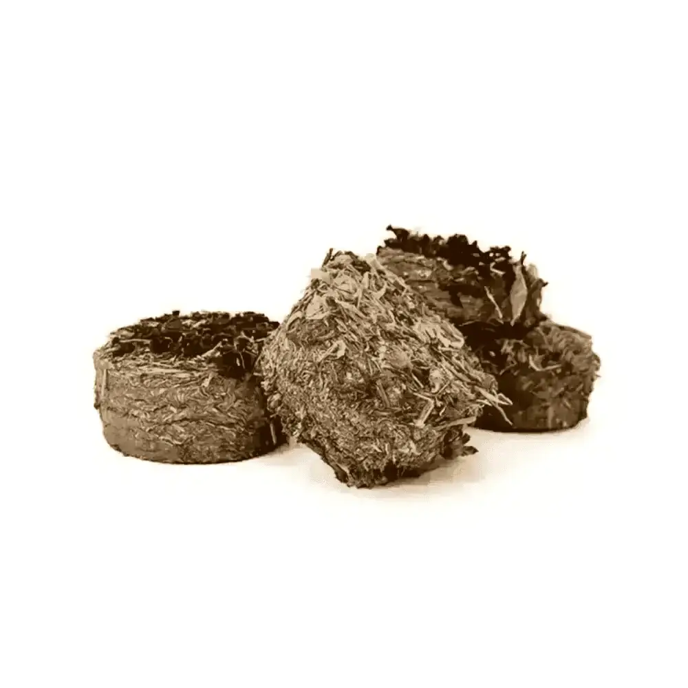 Norah’s Botanical Topped Cookies - Small Animal Accessories | Natural Pet Shop