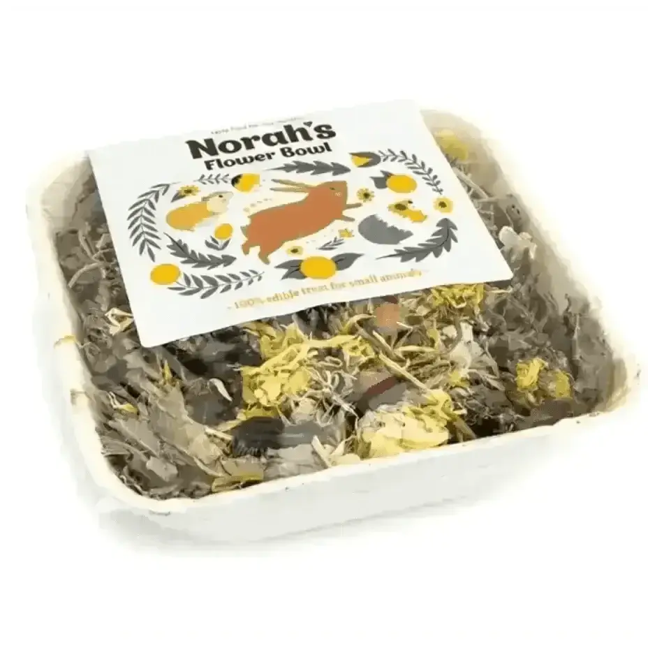 Norah’s Flower Bowl pet food tray encourages natural foraging with sustainably sourced palm