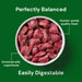 Nutriment Cat Raw Lamb 500g - Natural Raw Cat Food