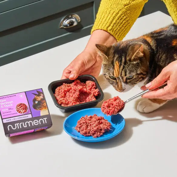 Nutriment Cat Raw Lamb 500g - Natural Raw Cat Food