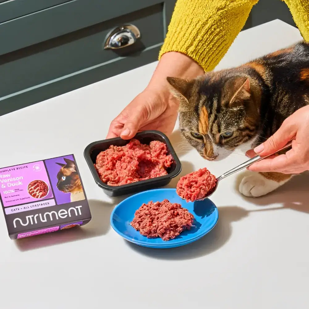 Nutriment Cat Raw Lamb 500g tray with blue bowl and spoon