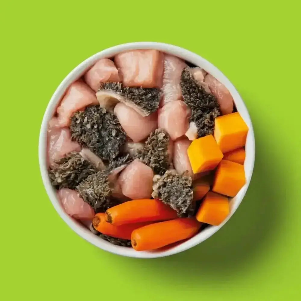 Nutriment’s low purine raw dog food formula with vegetables in white bowl