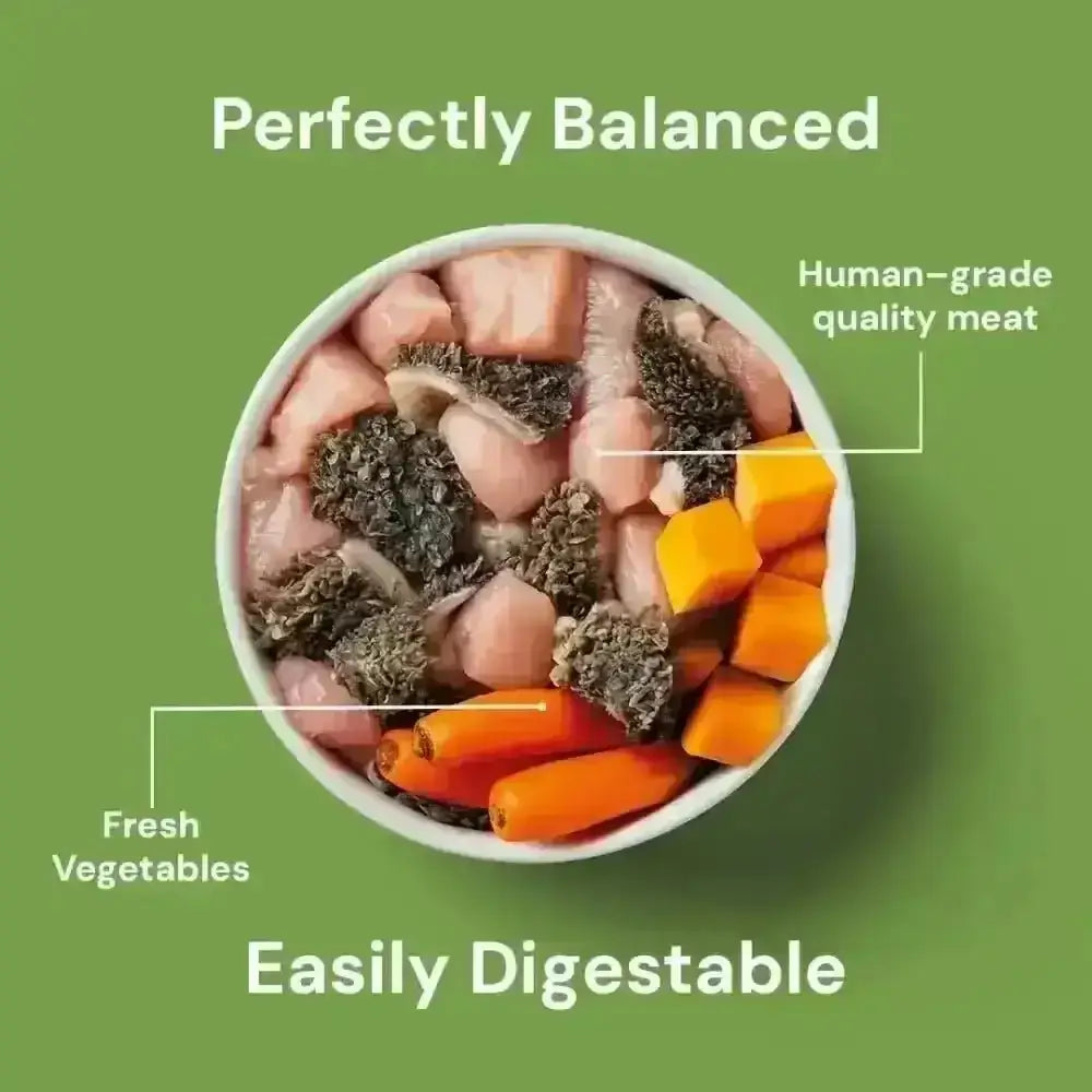 Nutriment’s low purine raw dog food formula bowl with meat and veggies