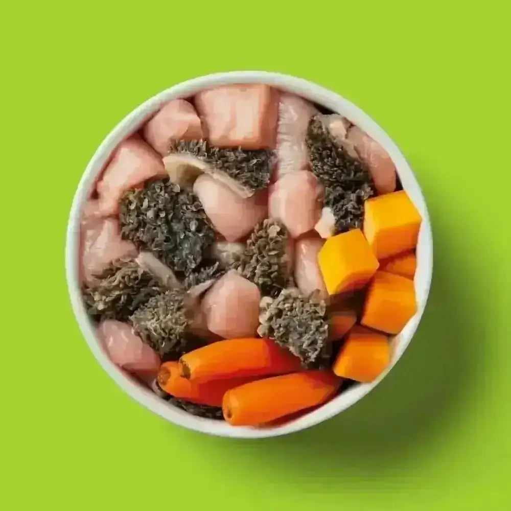 Nutriment’s low purine raw dog food formula with vegetables in white bowl