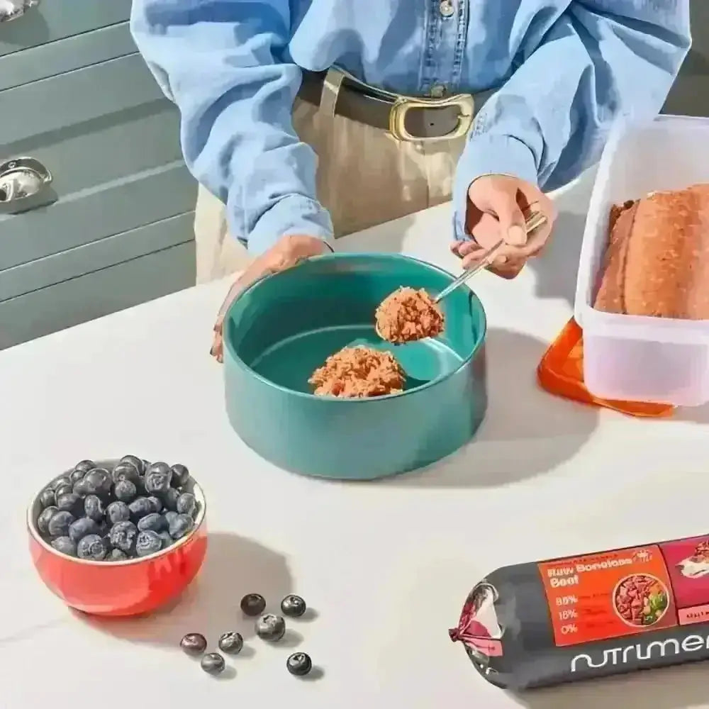 Nutriment’s raw boneless beef 1.4kg in teal white ceramic bowl