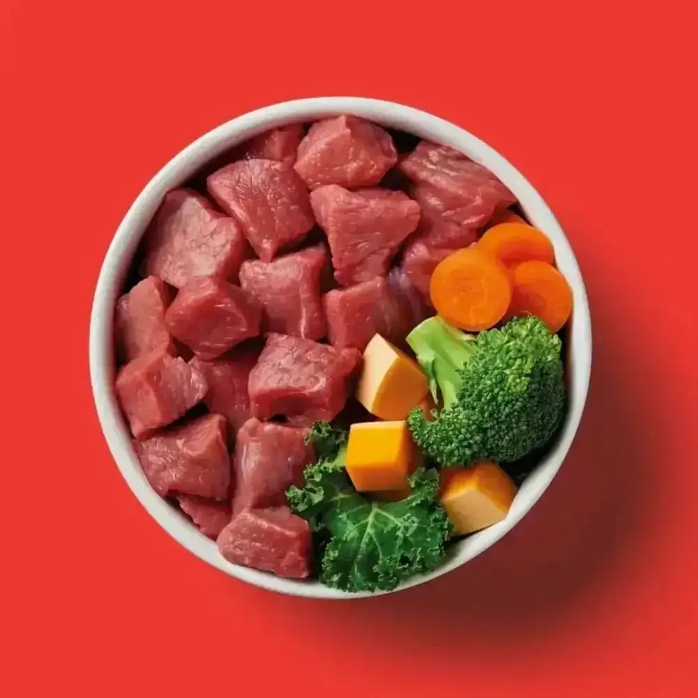 White bowl of Nutriment Raw Boneless Beef 500g formula with vegetables on red background