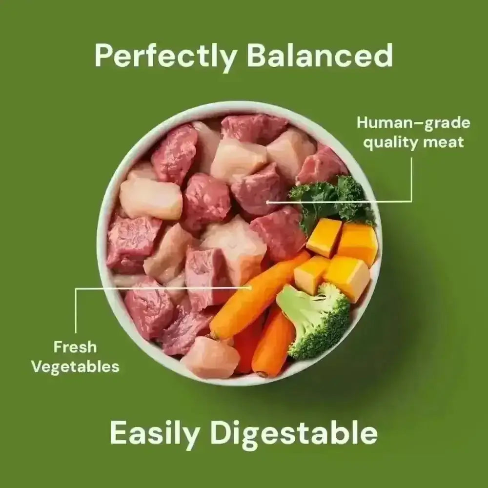Nutriment Raw Chicken & Lamb 500g: nutritious raw feeding with human-grade quality meat and fresh vegetables in white ceramic bowl