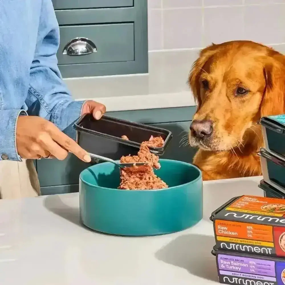 Nutriment Raw Chicken & Lamb 500g in teal bowl with scoop