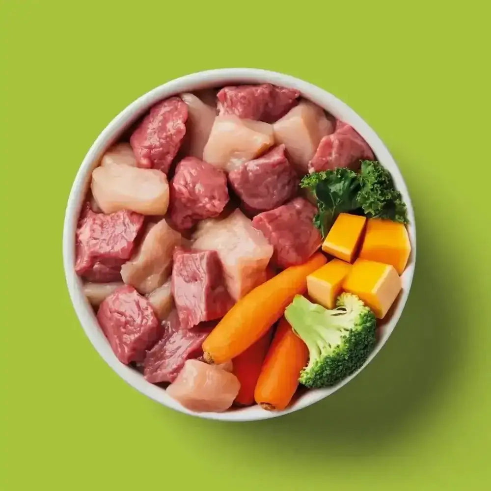 Nutriment Raw Chicken & Lamb 500g: nutritious raw feeding bowl with human-grade meat and colorful veggies