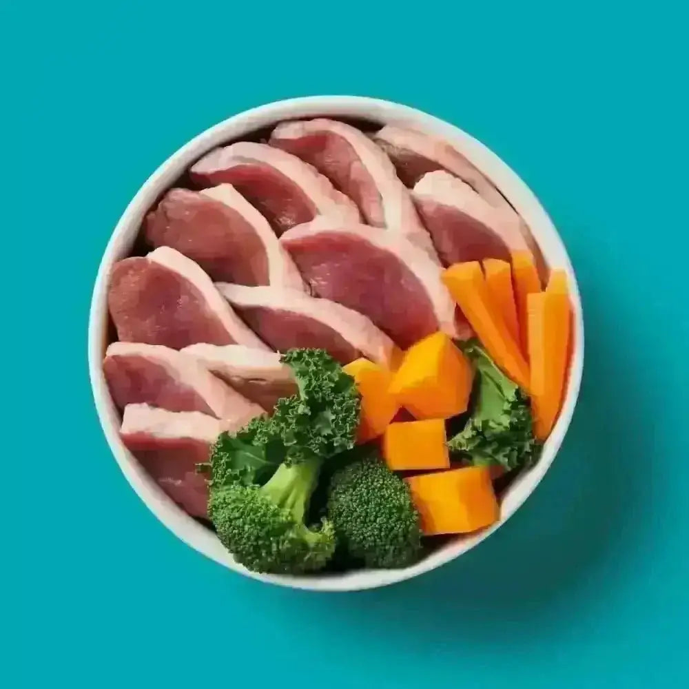 White bowl of raw duck formula with meat and vegetables in Nutriment’s Raw Duck 500g