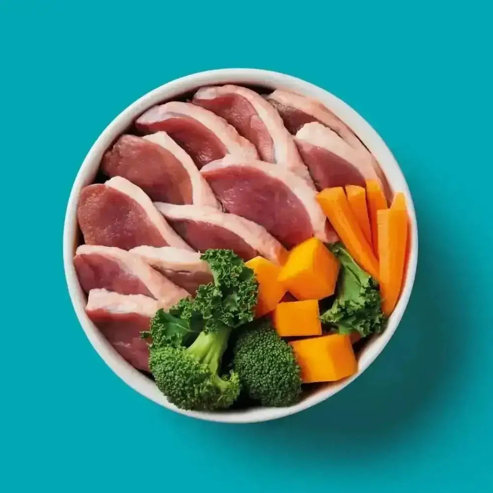 White bowl of raw duck formula with meat and vegetables in Nutriment’s Raw Duck 500g