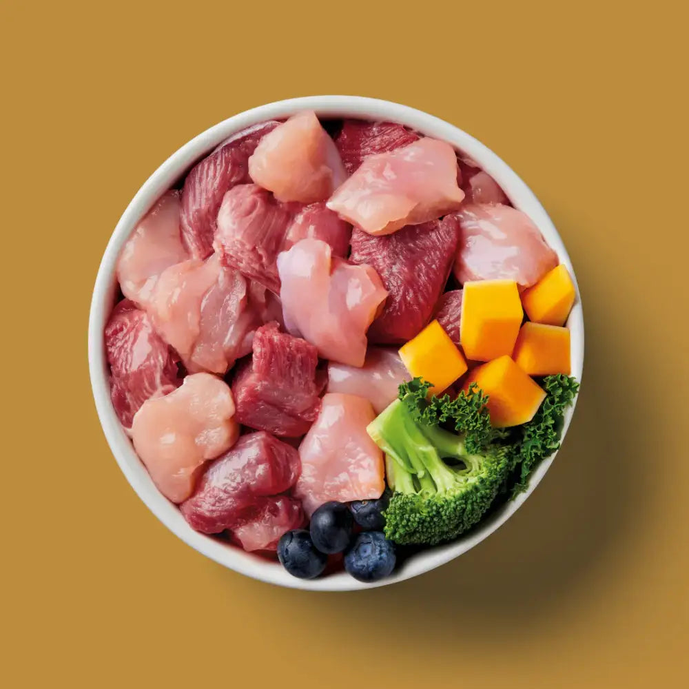 Nutriment Raw Rabbit & Turkey 500g - Natural Raw Dog Food