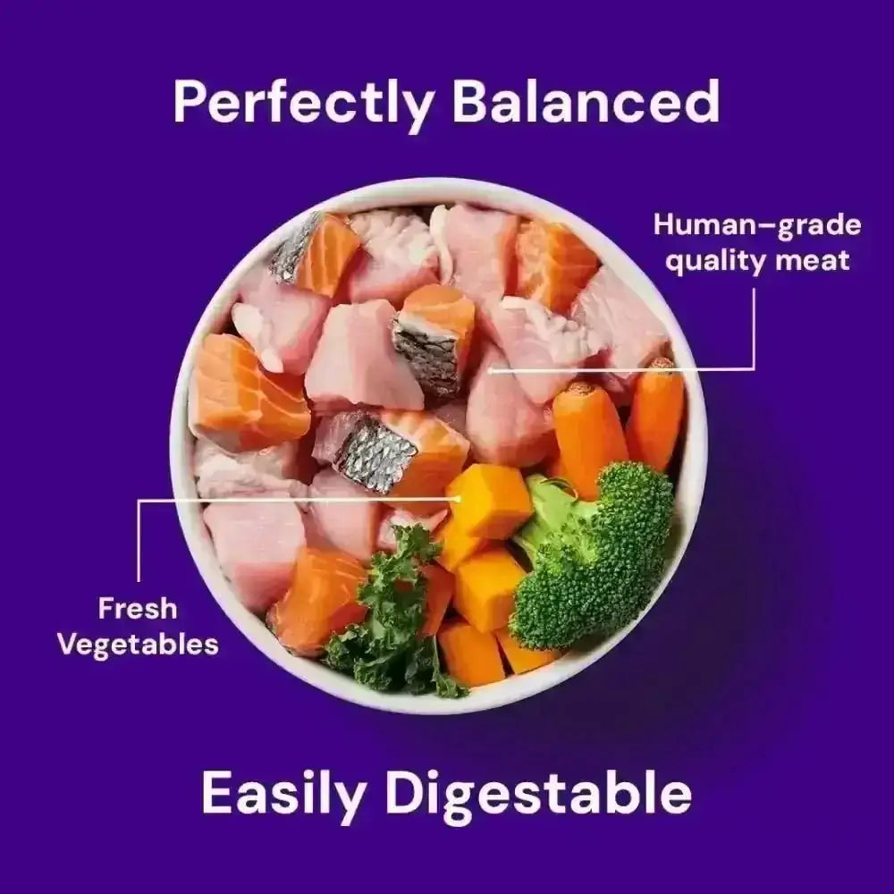 Nutriment Raw Salmon & Turkey 500g bowl with colorful fresh ingredients for adult dog feeding rich in essential fatty acids