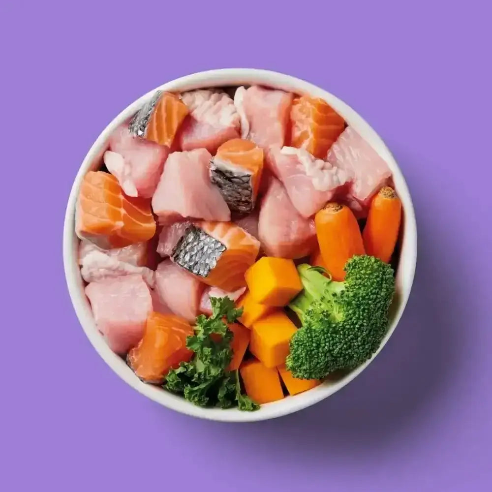 Nutriment Raw Salmon 500g bowl with raw fish, veggies for adult dog feeding