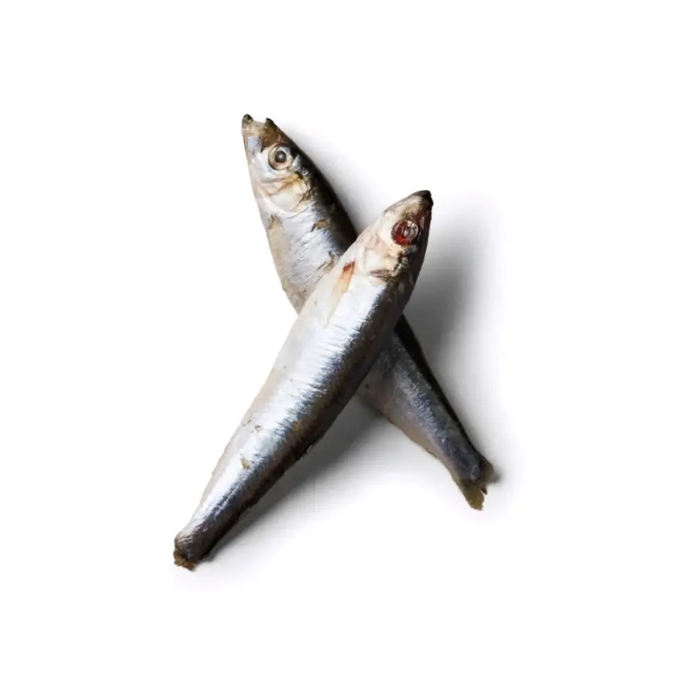 Nutriment Sprats 1kg - Natural Raw Dog Food | Pet Shop