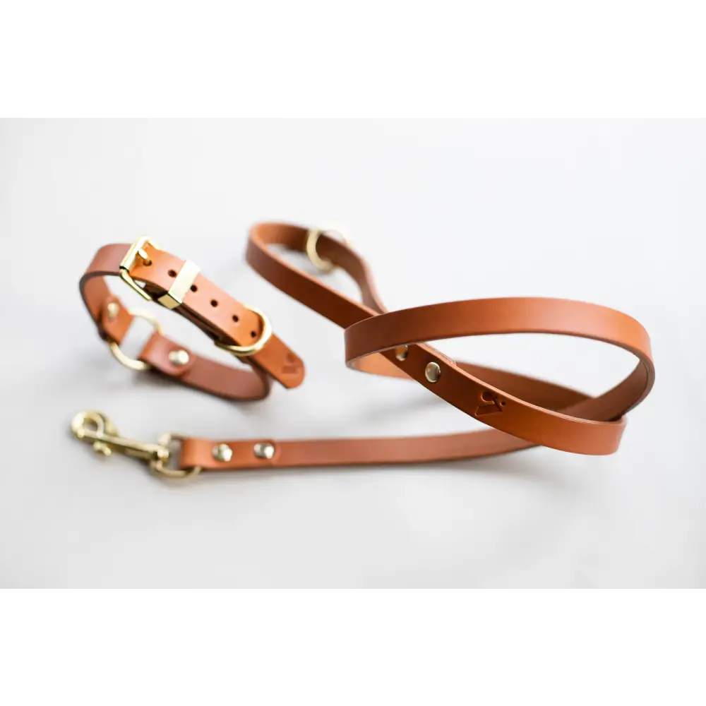 O Leather Collar