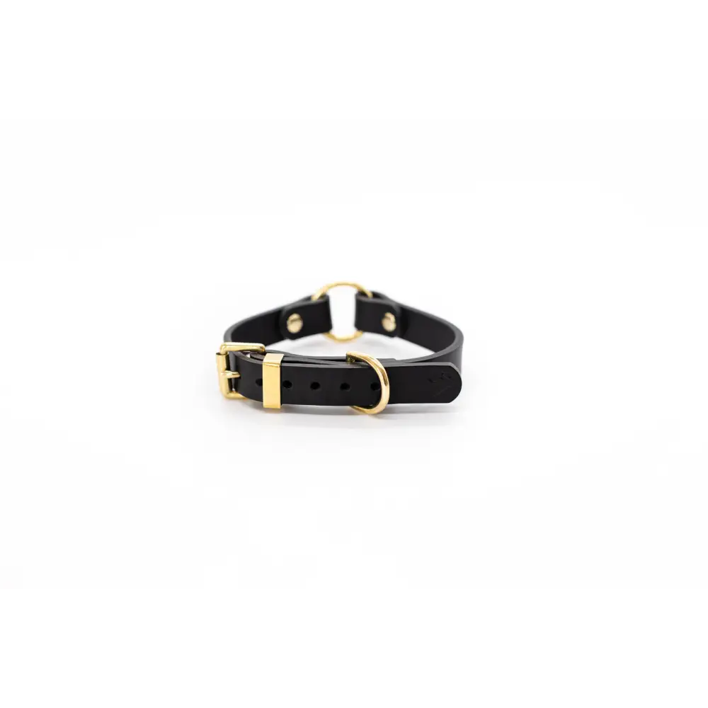 O Leather Collar