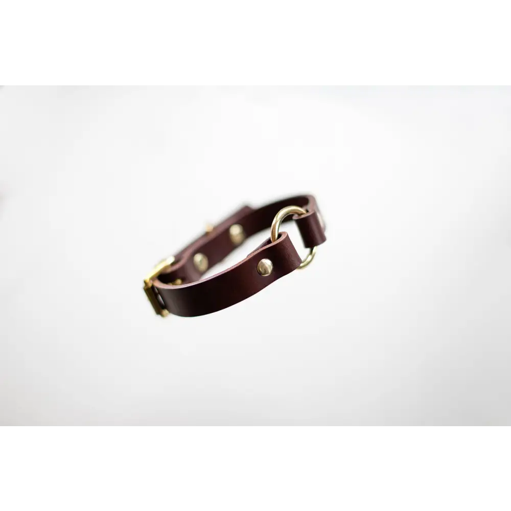 O Leather Collar - XX-Small / Chestnut
