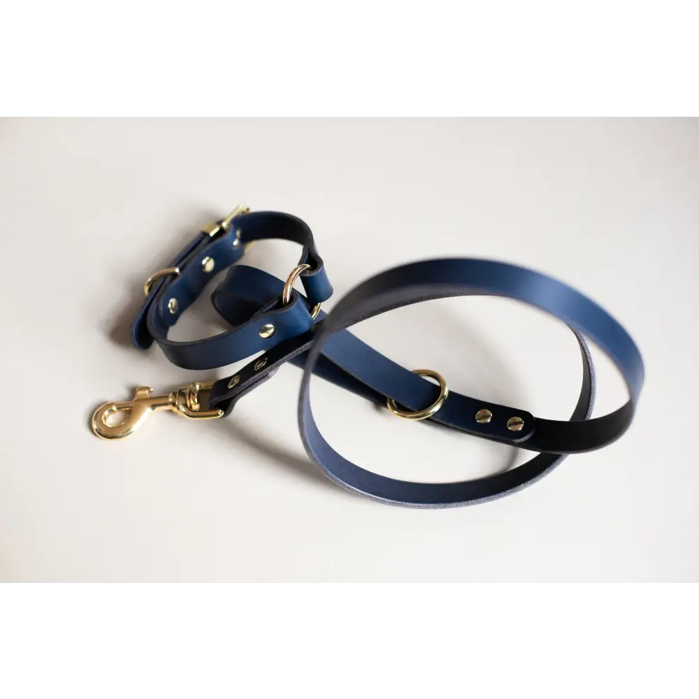 O Leather Collar - XX-Small / Navy