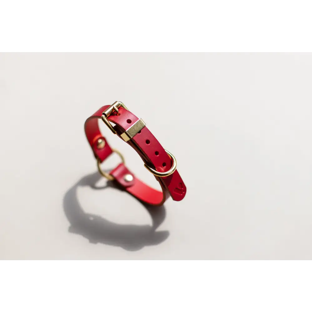 O Leather Collar - XX-Small / Red