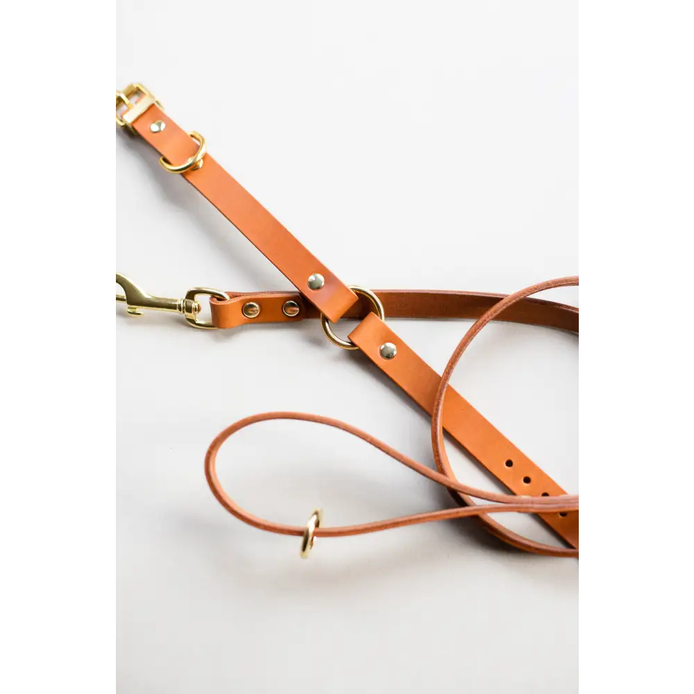 O Leather Collar - XX-Small / Tan
