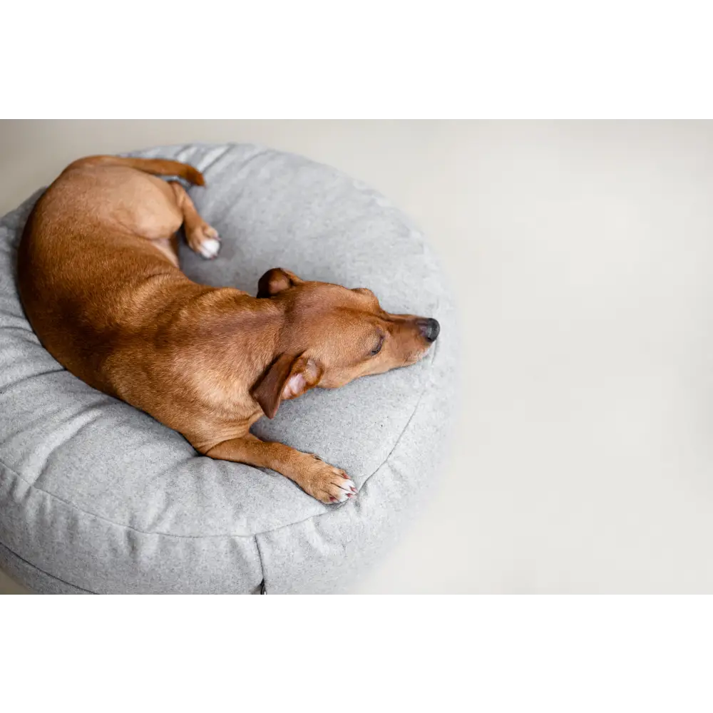 Grey round dog bed with white trim, soft fabric, ideal as a floor cushion for pets