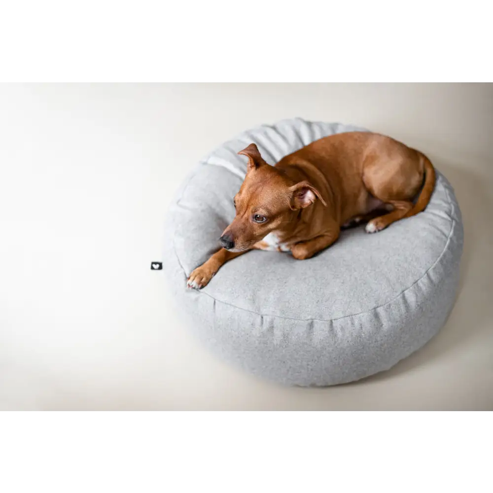 Grey plush donut floor cushion with white trim and tag, ideal for dogs or cats