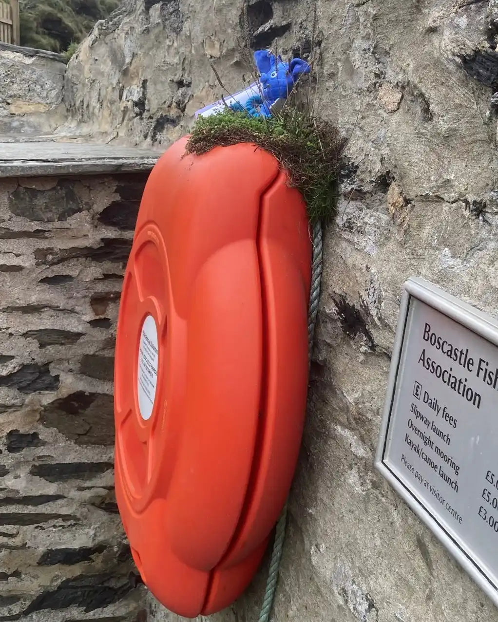 Orange life preserver with blue plastic bag and green moss.