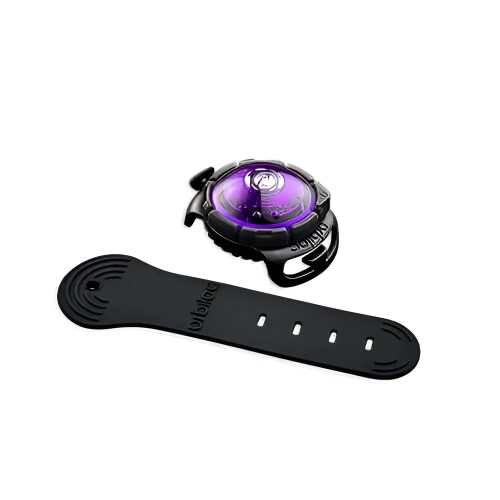 Orbiloc Dog Dual Safety Light in purple with black beyblade and wristband