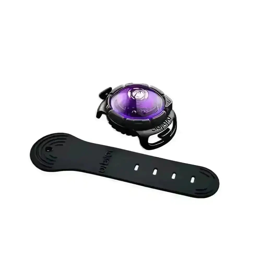 Orbiloc Dog Dual Safety Light in purple with black beyblade and wristband