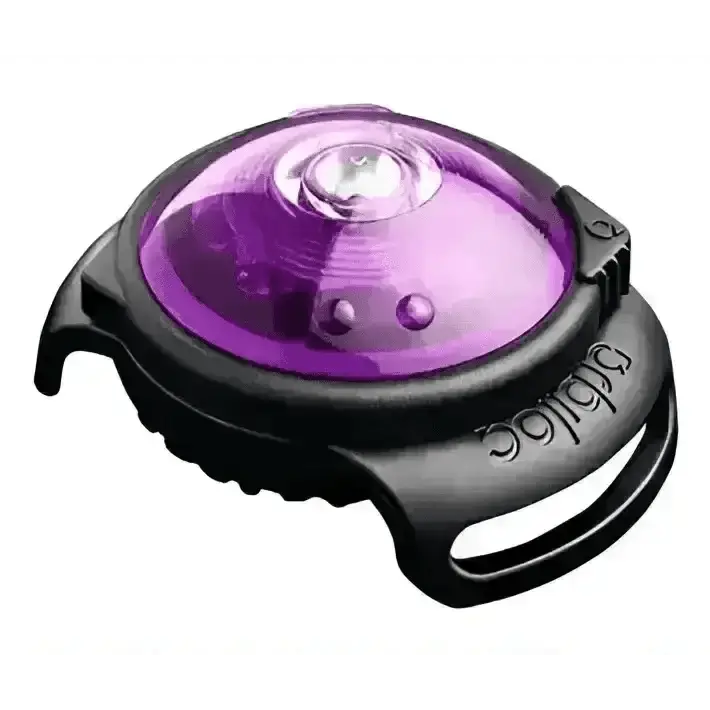 Orbiloc Dog Dual Safety Light - Purple tail light with black and purple durable plastic body