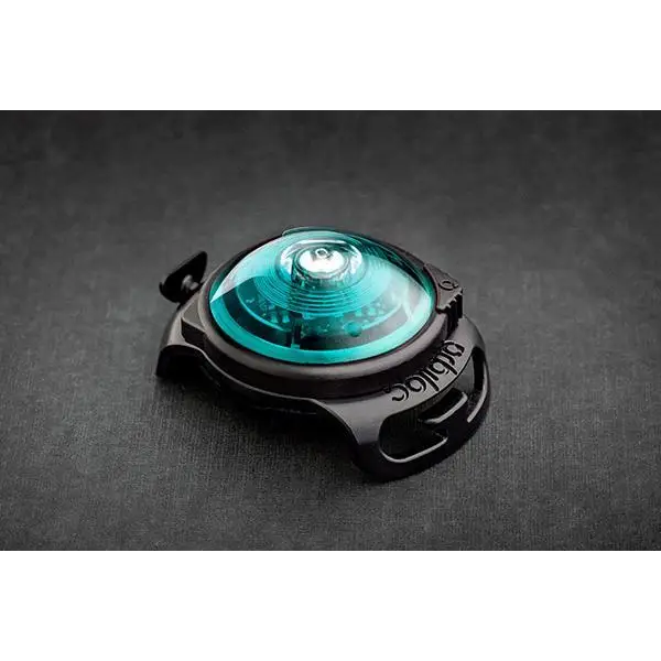 Orbiloc Dog Dual Safety Light - Turquoise Dog Gadgets Orbiloc