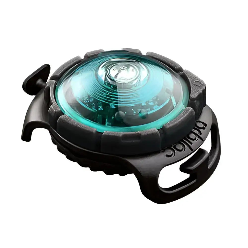 Black bicycle light with green lens and clear cover for visibility, part of Orbiloc Dog Dual Safety Light series