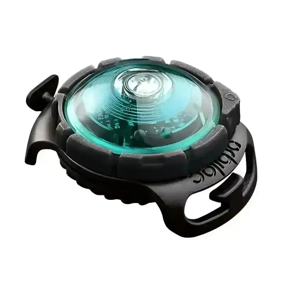 Black bicycle light with green lens and clear cover for visibility, part of Orbiloc Dog Dual Safety Light series