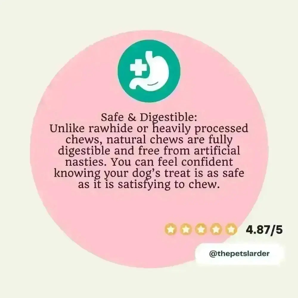 Natural Ostrich Bone Chew for Dogs with stomach illustration, a healthy raw hide alternative