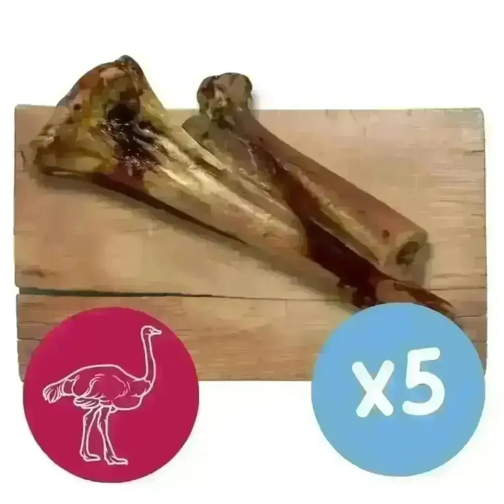 Five natural ostrich bones for dogs, raw hide alternative, rustic brown and beige hues